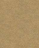 Canvas - 313554