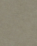 Canvas - 313555