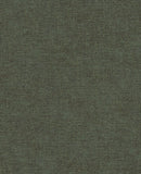 Canvas - 313556