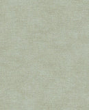 Canvas - 313557