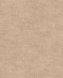 Canvas - 313559