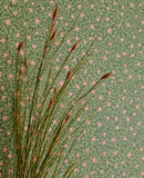 Posy - 316055