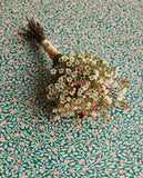 Posy - 316056