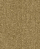 Solange - 340221