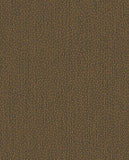 Solange - 340222
