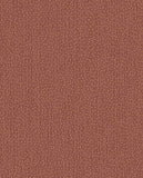 Solange - 340223