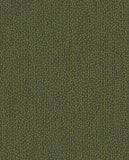 Solange - 340225