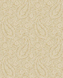 Amber - 350651