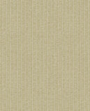 Amber - 350676