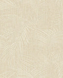 Anam - 350911