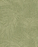 Anam - 350913