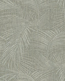 Anam - 350914