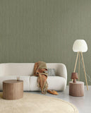 Anam - 350950