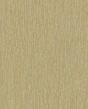 Anam - 350951