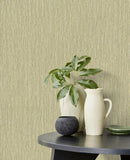 Anam - 350951