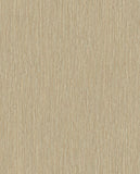 Anam - 350956