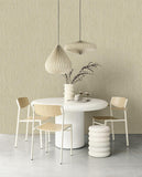 Anam - 350956