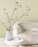 Anam - 350957