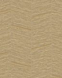 Anam - 350973