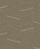 Anam - 350974