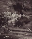 Geonature - 366100