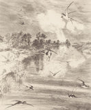 Geonature - 366101
