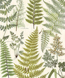 Geonature - 366104