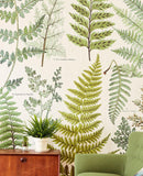 Geonature - 366104