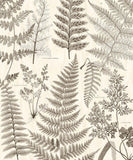 Geonature - 366105