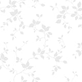Björk - 382-01