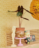 Rice 2 - 383570