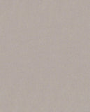 Natural Wallcoverings Ii - 389545