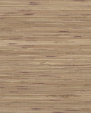 Natural Wallcoverings Ii - 389559