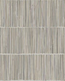 Terra - 391512