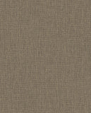 Terra - 391541