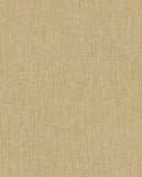 Terra - 391546