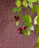 Carmen - 392543