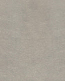 Topaz - 394502