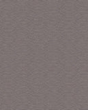 Bold - 395852