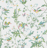 112/4015 - Hummingbirds 1