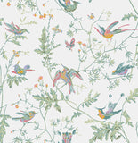 112/4016 - Hummingbirds 1