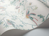 112/4016 - Hummingbirds 1