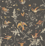 112/4017 - Hummingbirds 1