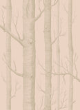 103/5024 - Woods 2