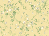 100/6029 - Sweet Pea