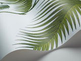 66/2010 - Palm Leaves 2