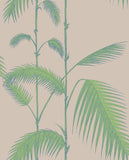 66/2011 - Palm Leaves