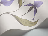 66/4024 - Orchid