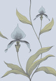 66/4026 - Orchid