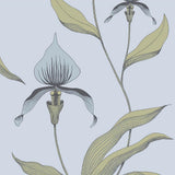 66/4026 - Orchid